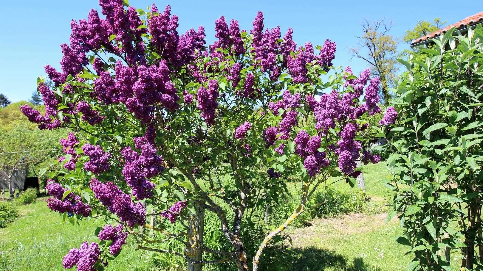 Chambre d'hôtes La Chapelle Blanche à Saint Victurnien  en Haute-Vienne (Limousin)_18