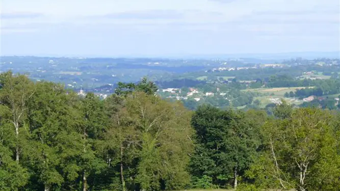 Chambre d'hôtes Bellevue à Saint Priest sous Aixe en Haute-Vienne (Nouvelle Aquitaine)_12