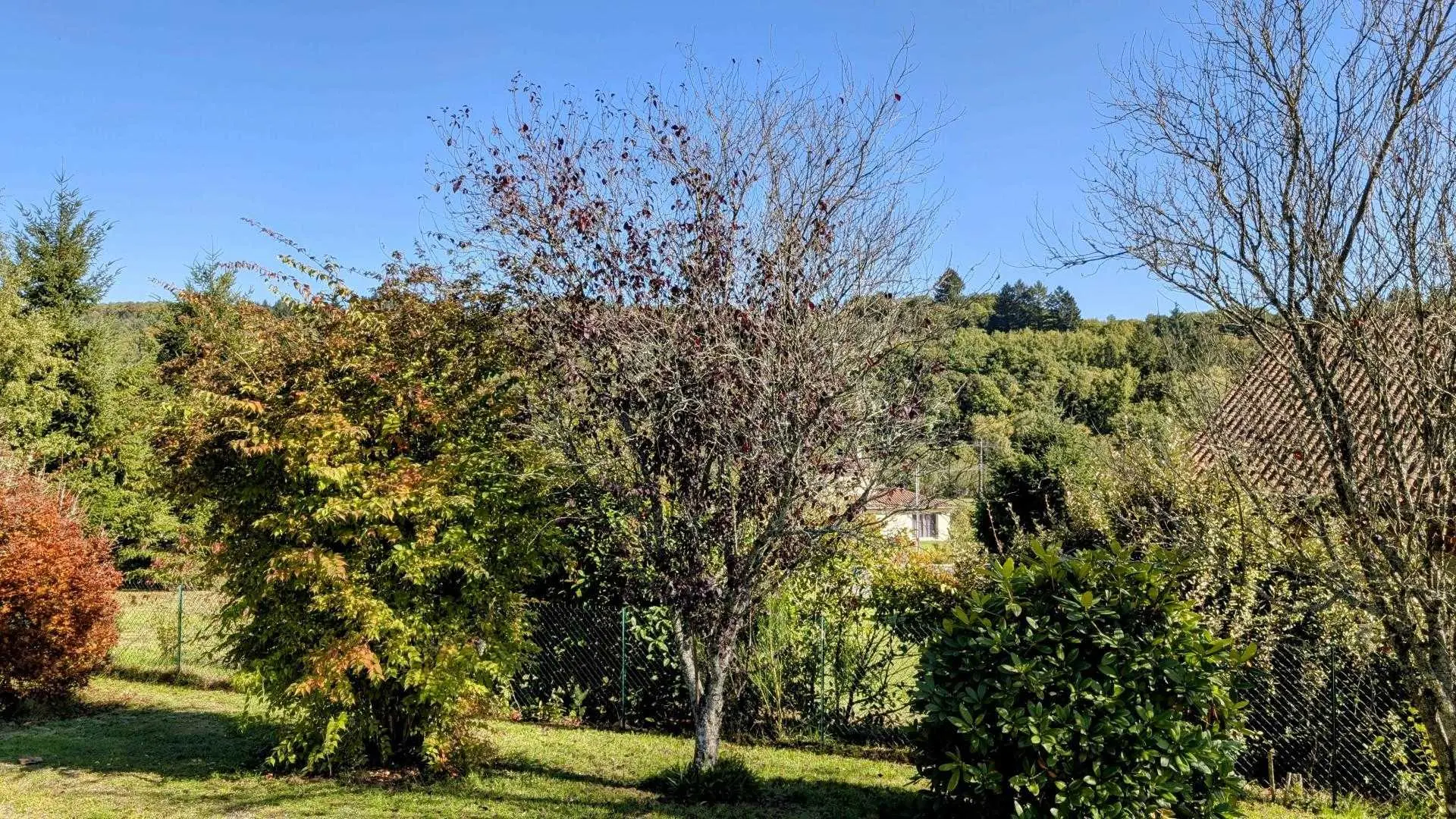 gite de la Maison du cèdre à Bonnac La Cote en Haute-Vienne_15