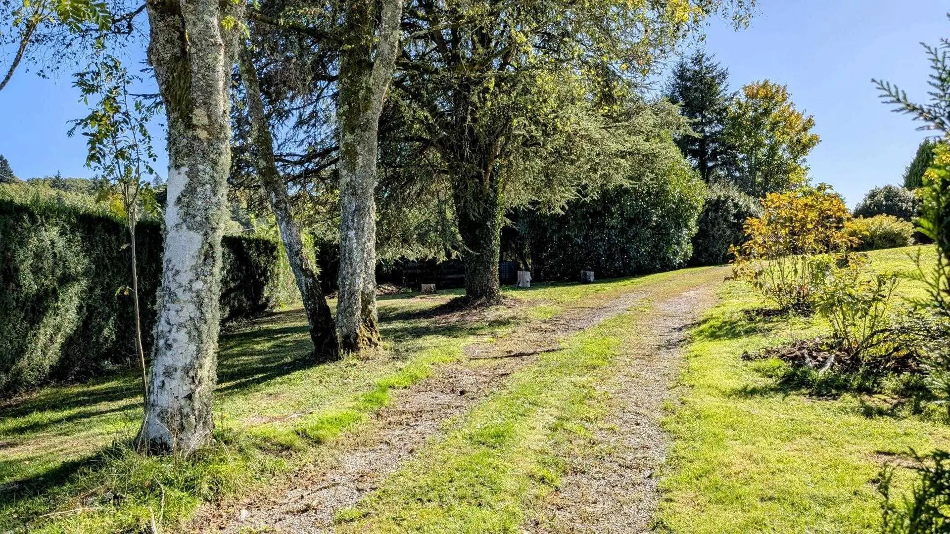 gite de la Maison du cèdre à Bonnac La Cote en Haute-Vienne_2