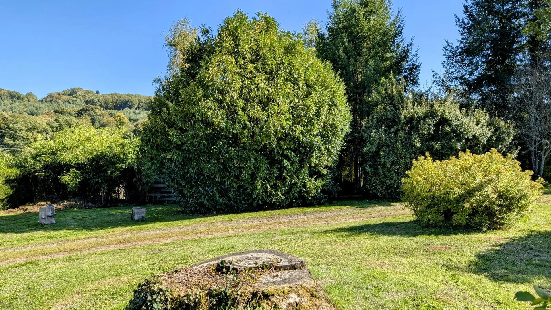 gite de la Maison du cèdre à Bonnac La Cote en Haute-Vienne_3