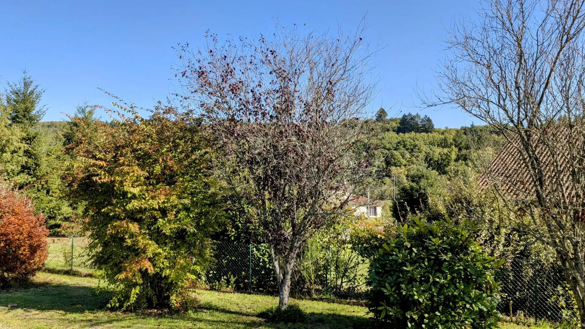 gite de la Maison du cèdre à Bonnac La Cote en Haute-Vienne_15