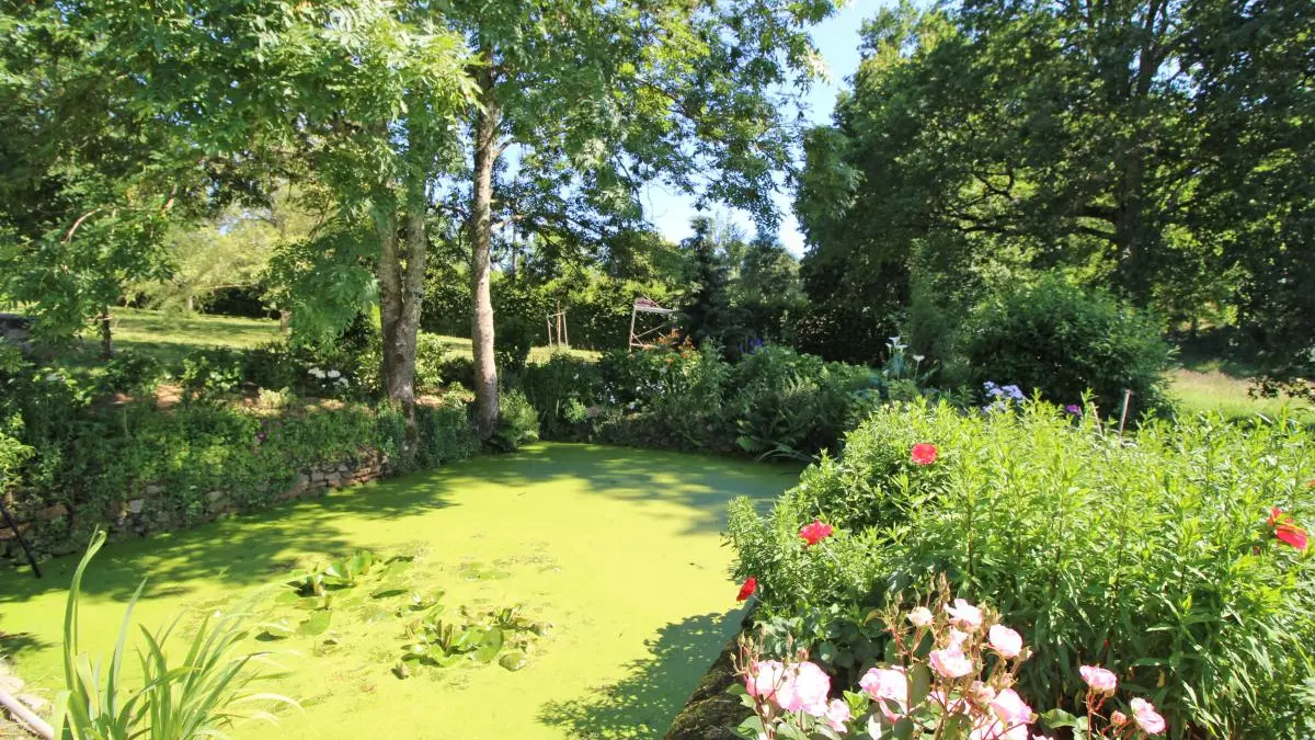 Gîte Chez le Bayle à Condat sur Vienne en Haute-Vienne (Limousin)_24