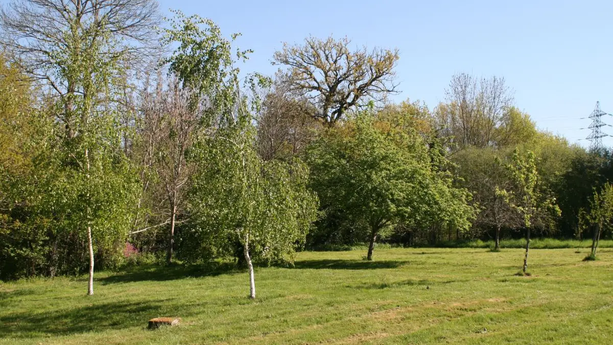 Le verger . Gîte Chez le Bayle à Condat sur Vienne en Haute-Vienne (Limousin)_38