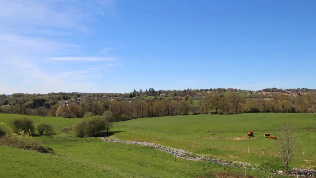 La vue de la terrasse en hiver. Gîte Chez le Bayle à Condat sur Vienne en Haute-Vienne (Limousin)_22