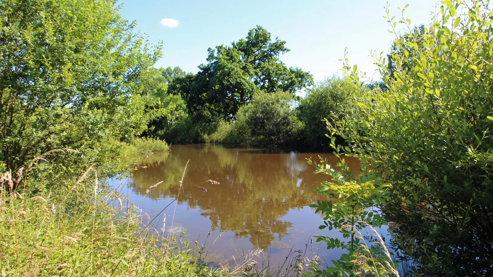 Gite Chabatz d'entrar à Pouleinat commune d'Eyjeaux en Haute-Vienne (Limousin en Nouvelle Aquitaine)_28