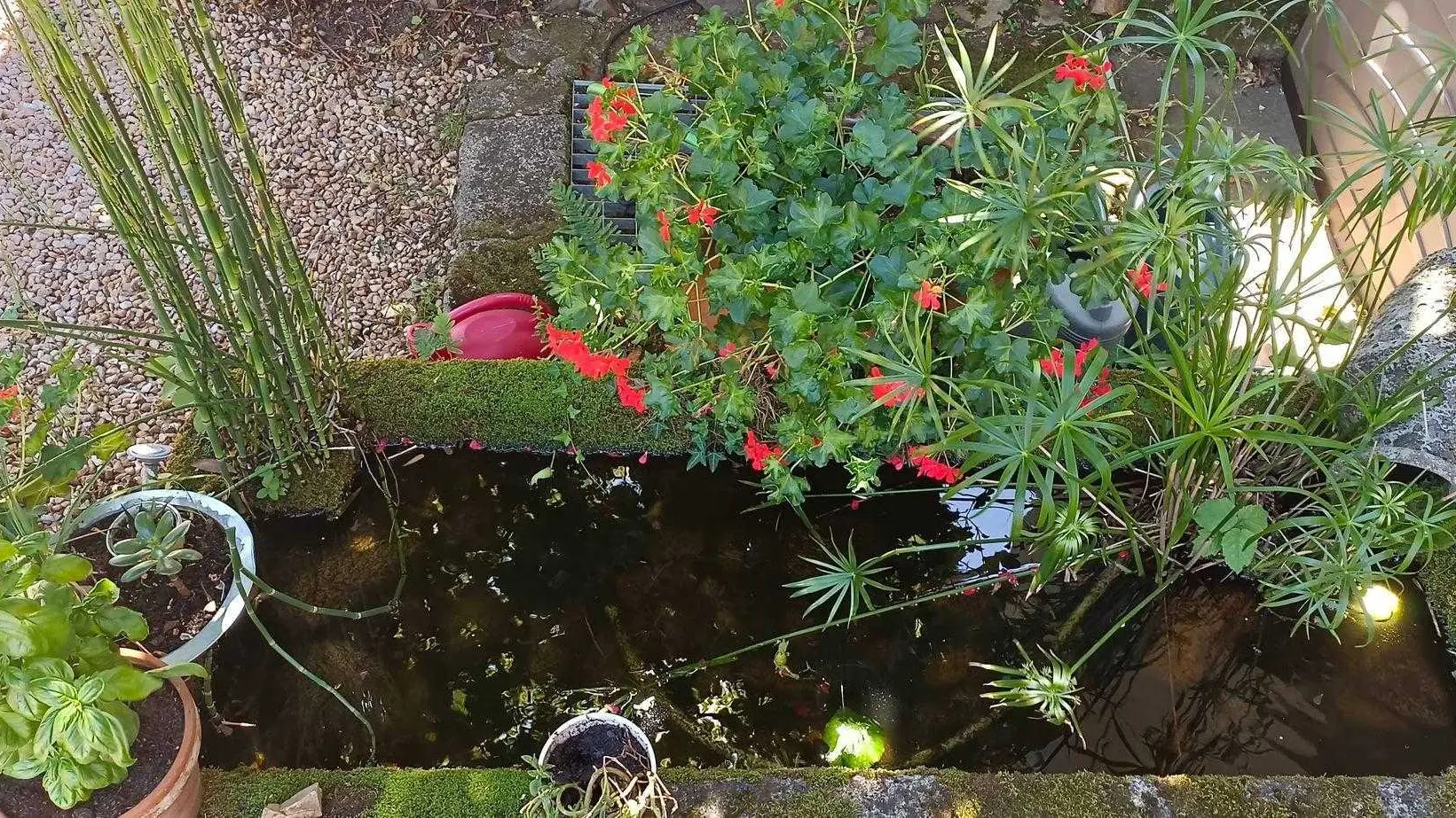 Gîte Les Eglantiers commune de Jourgnac en Haute-Vienne (Limousin)_36