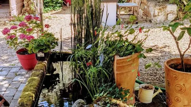 Gîte Les Eglantiers commune de Jourgnac en Haute-Vienne (Limousin)_35