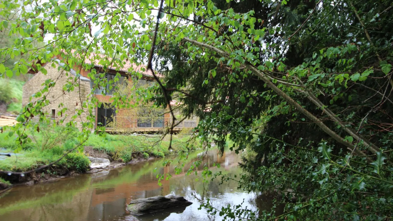 Gîte Le Rabaud à Saint Gence en Haute-Vienne (Nouvelle-Aquitaine)_51
