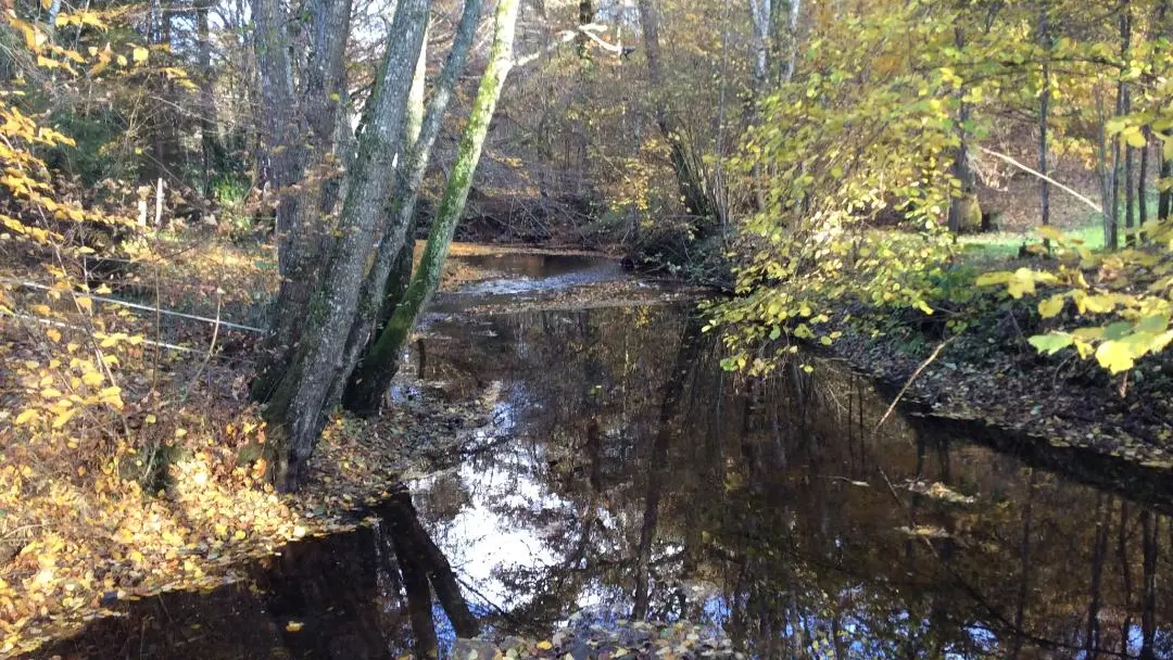 Gite Le Moulin De Pont Pery à Saint Martin Le Vieux en Haute-Vienne (Nouvelle Aquitaine). L'autre ruisseau_15
