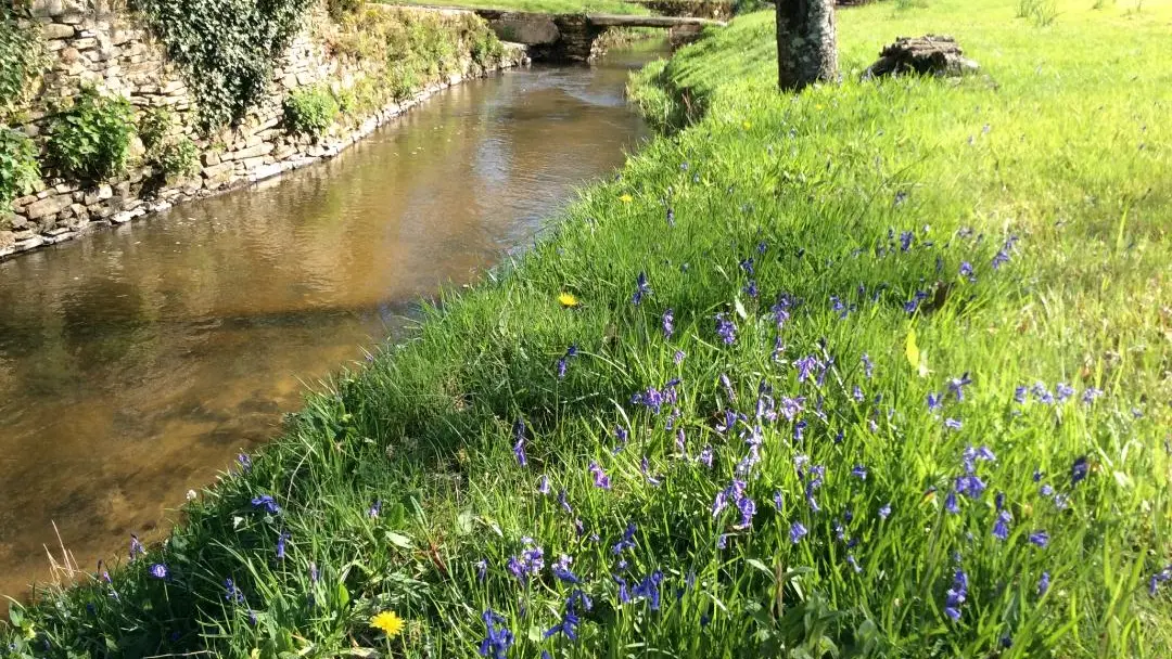 Gite Le Moulin De Pont Pery à Saint Martin Le Vieux en Haute-Vienne (Nouvelle Aquitaine). Le ruisseau_9