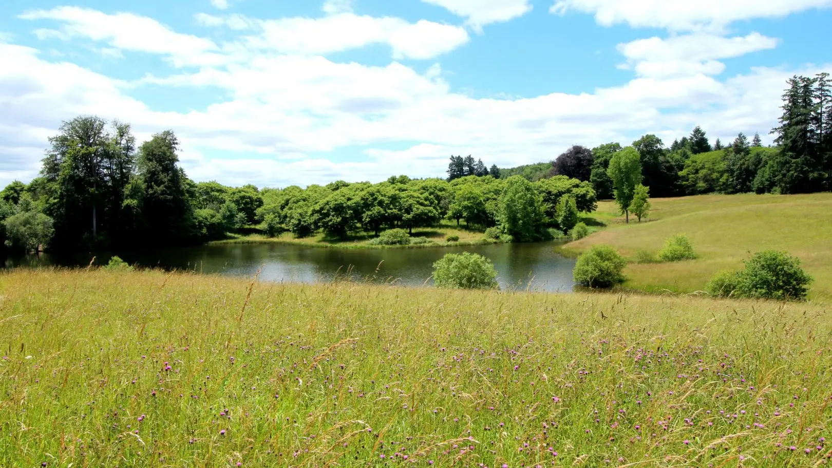 Gite L'Orangerie Domaine de Bort à Saint Priest Taurion en Haute-Vienne (Limousin en Nouvelle Aquitaine)_8