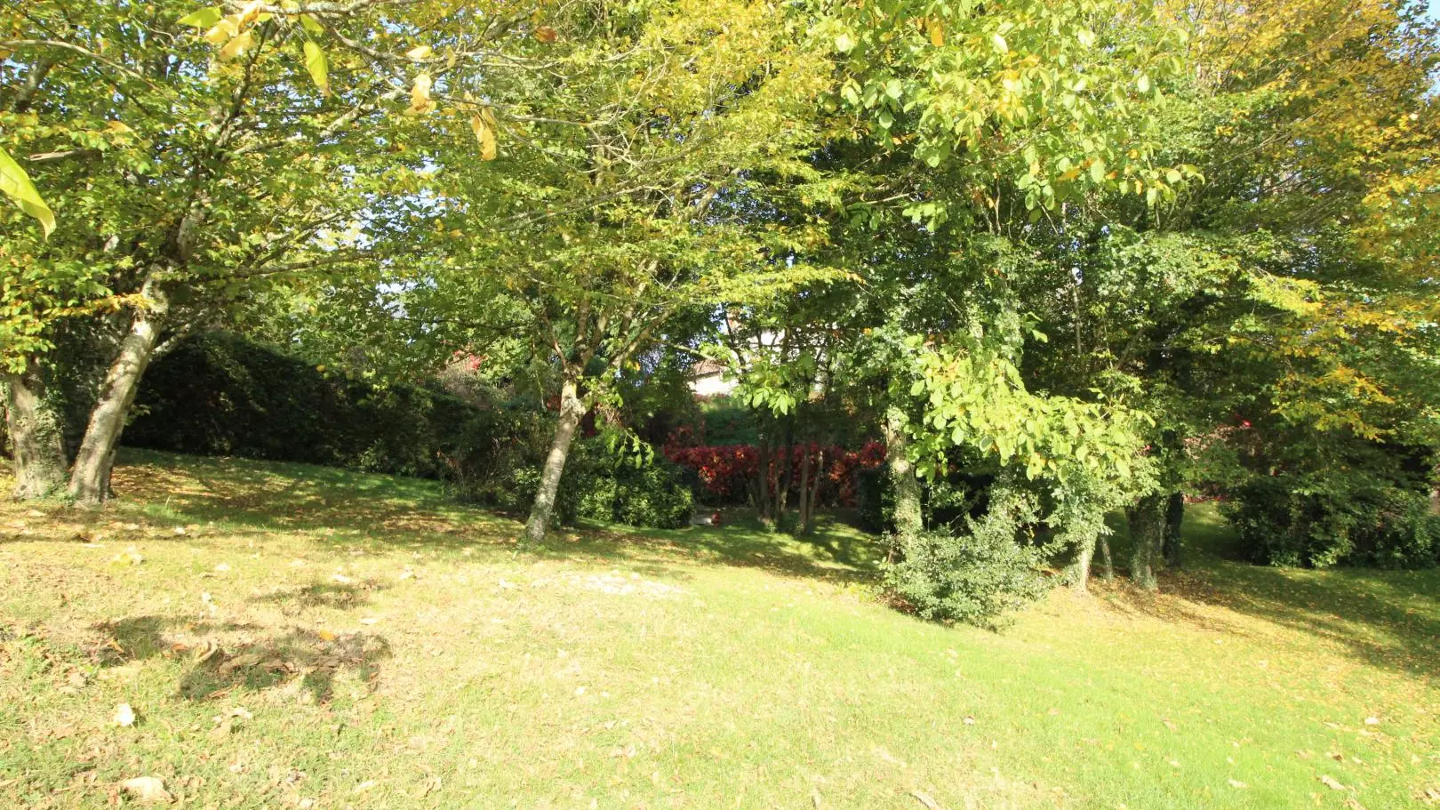 Gite Le Terrier à Solignac en Haute-Vienne (Nouvelle Aquitaine)_26