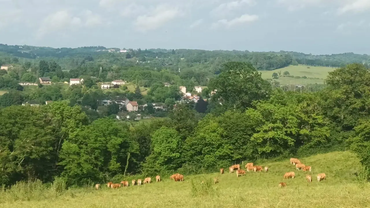 Gite Le Cherveix à Solignac en Haute-Vienne (Nouvelle Aquitaine)_33