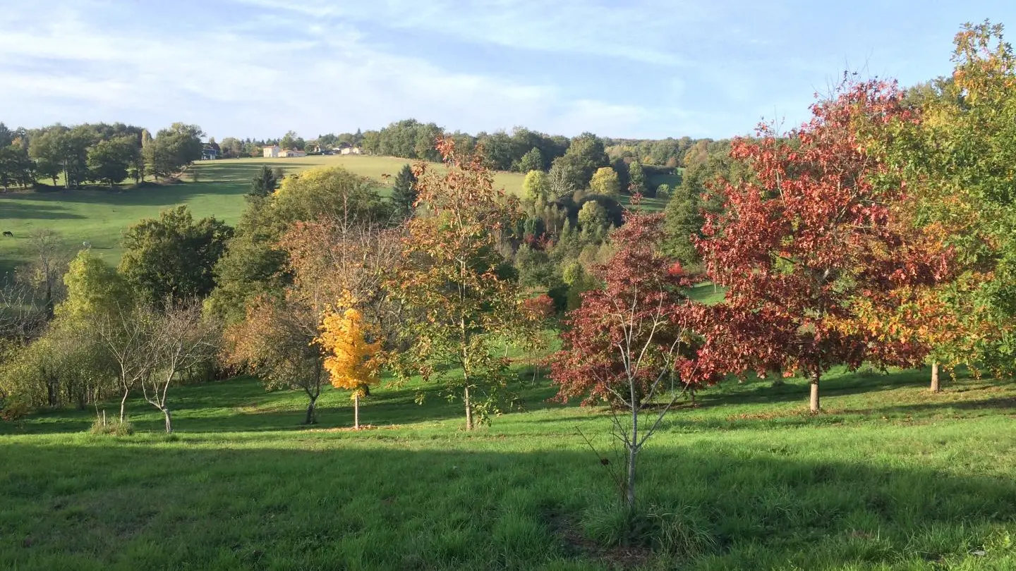 Gite Leygat à Solignac en Haute-Vienne (Limousin)_37