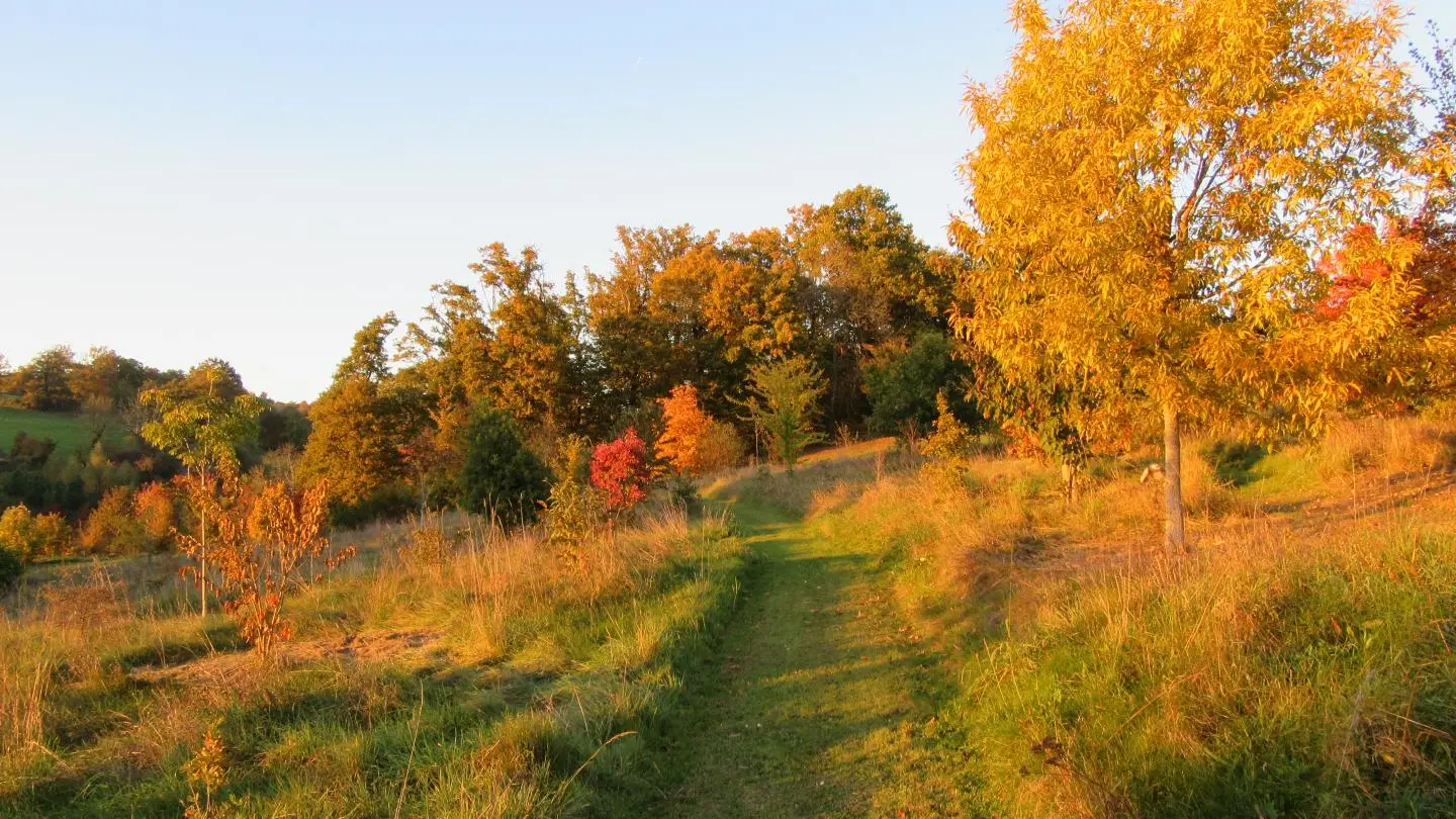 Gite Leygat à Solignac en Haute-Vienne (Limousin)_29