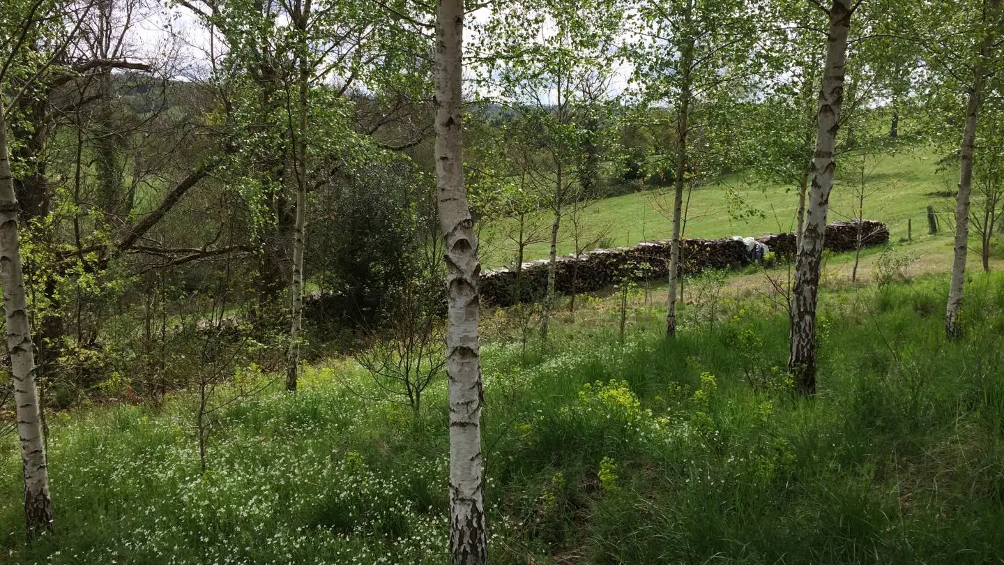 Gite Leygat à Solignac en Haute-Vienne (Limousin)_25