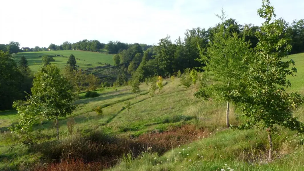 Gite Leygat à Solignac en Haute-Vienne (Limousin)_22