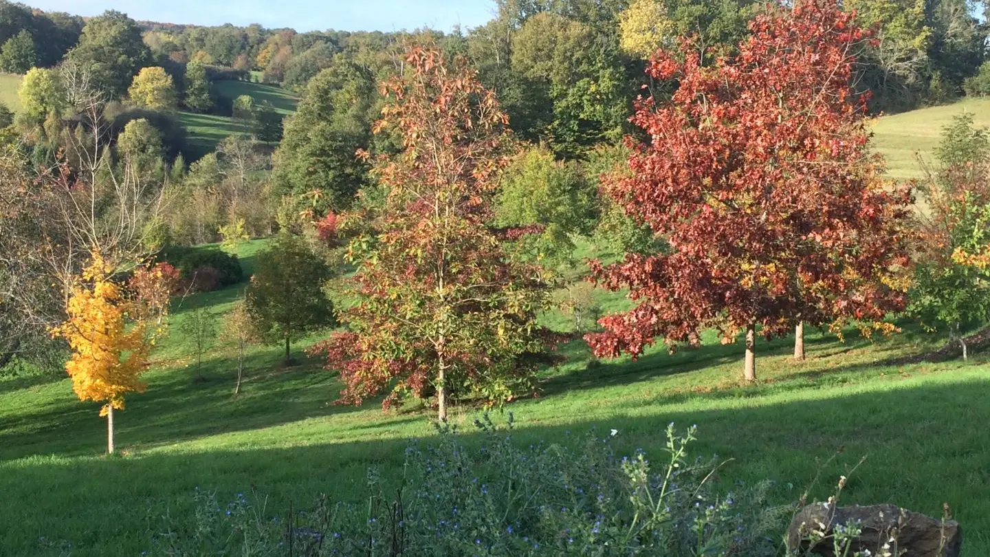 Gite Leygat à Solignac en Haute-Vienne (Limousin)_32