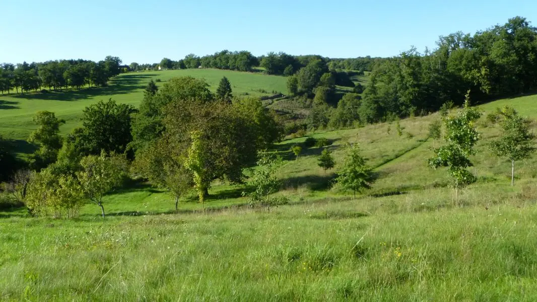 Gite Leygat à Solignac en Haute-Vienne (Limousin)_20