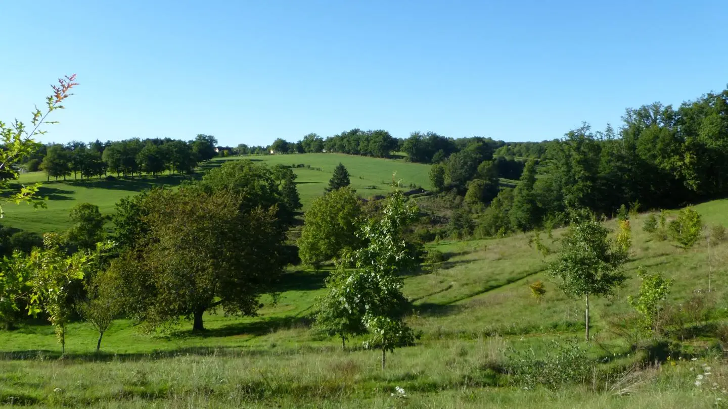 Gite Leygat à Solignac en Haute-Vienne (Limousin)_22