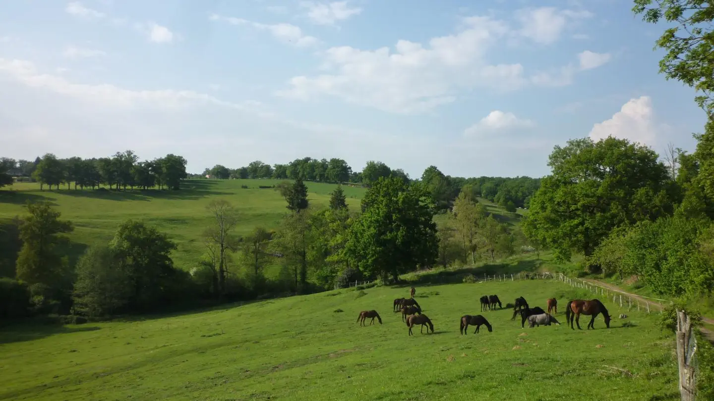 Gite Leygat à Solignac en Haute-Vienne (Limousin)_24