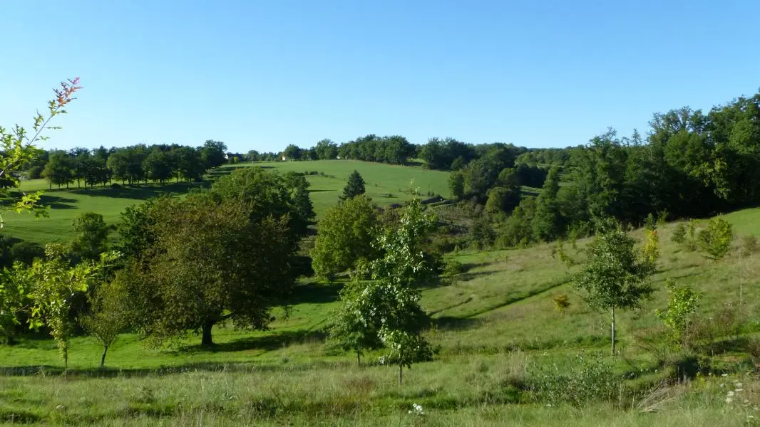 Gite Leygat à Solignac en Haute-Vienne (Limousin)_21