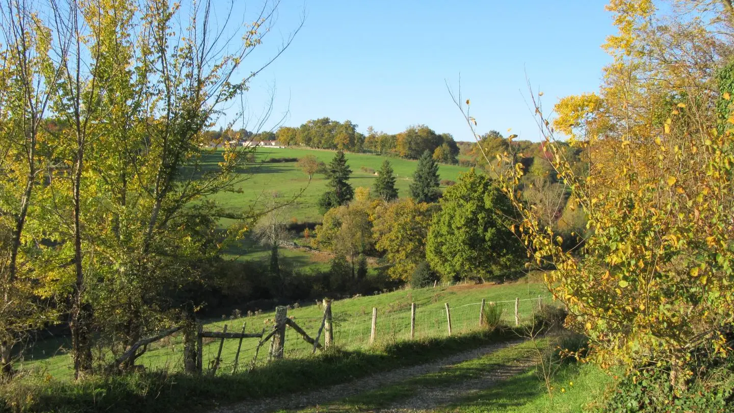 Gite Leygat à Solignac en Haute-Vienne (Limousin)_31