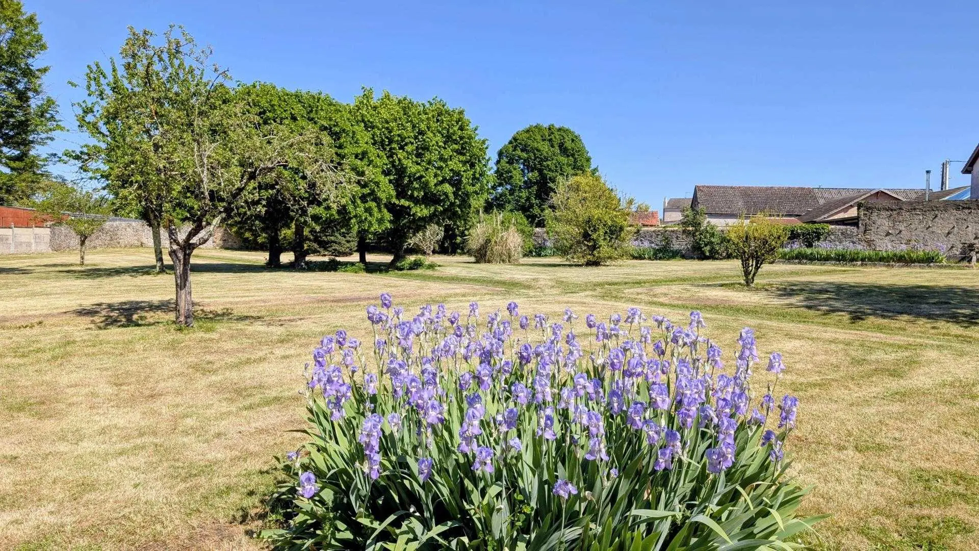 Gite Le Bourg à Lussac-les-Eglises en Haute-Vienne (Limousin en Nouvelle Aquitaine)- le parc communal sur l'arrière_3