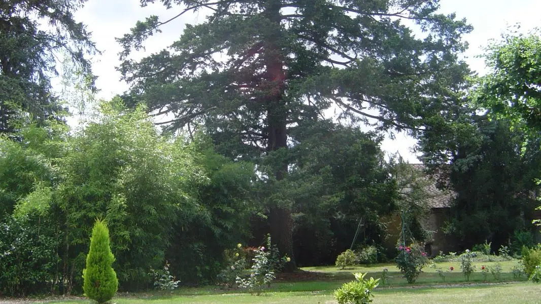Gite Le Bourg à Lussac-les-Eglises en Haute-Vienne (Limousin en Nouvelle Aquitaine) - Le parc communal à l'arrière du gîte_31