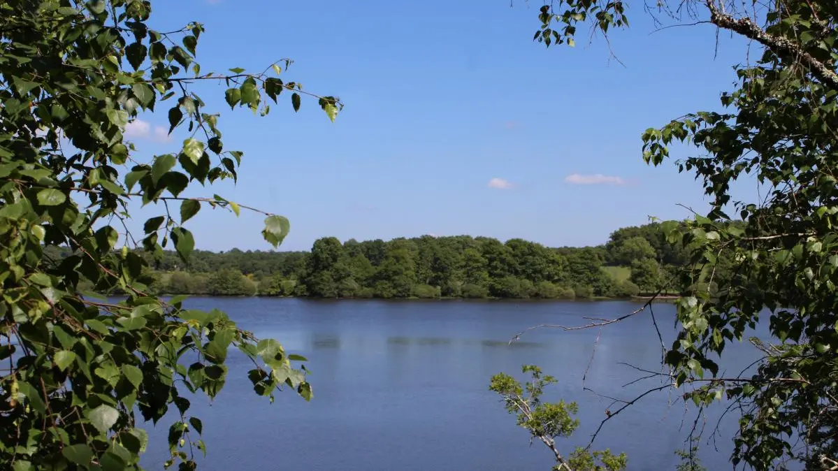 Etang de Murat à Lussac-les-églises en Haute-Vienne (Limousin)_20
