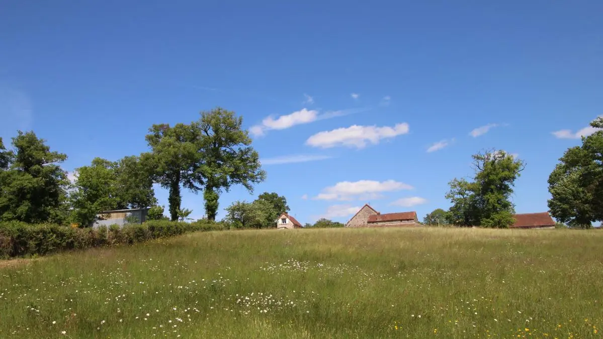 Au bord de la rivière à 100m du gîte de La Rivaille  à Lussac-les-églises en Haute-Vienne (Limousin)_18