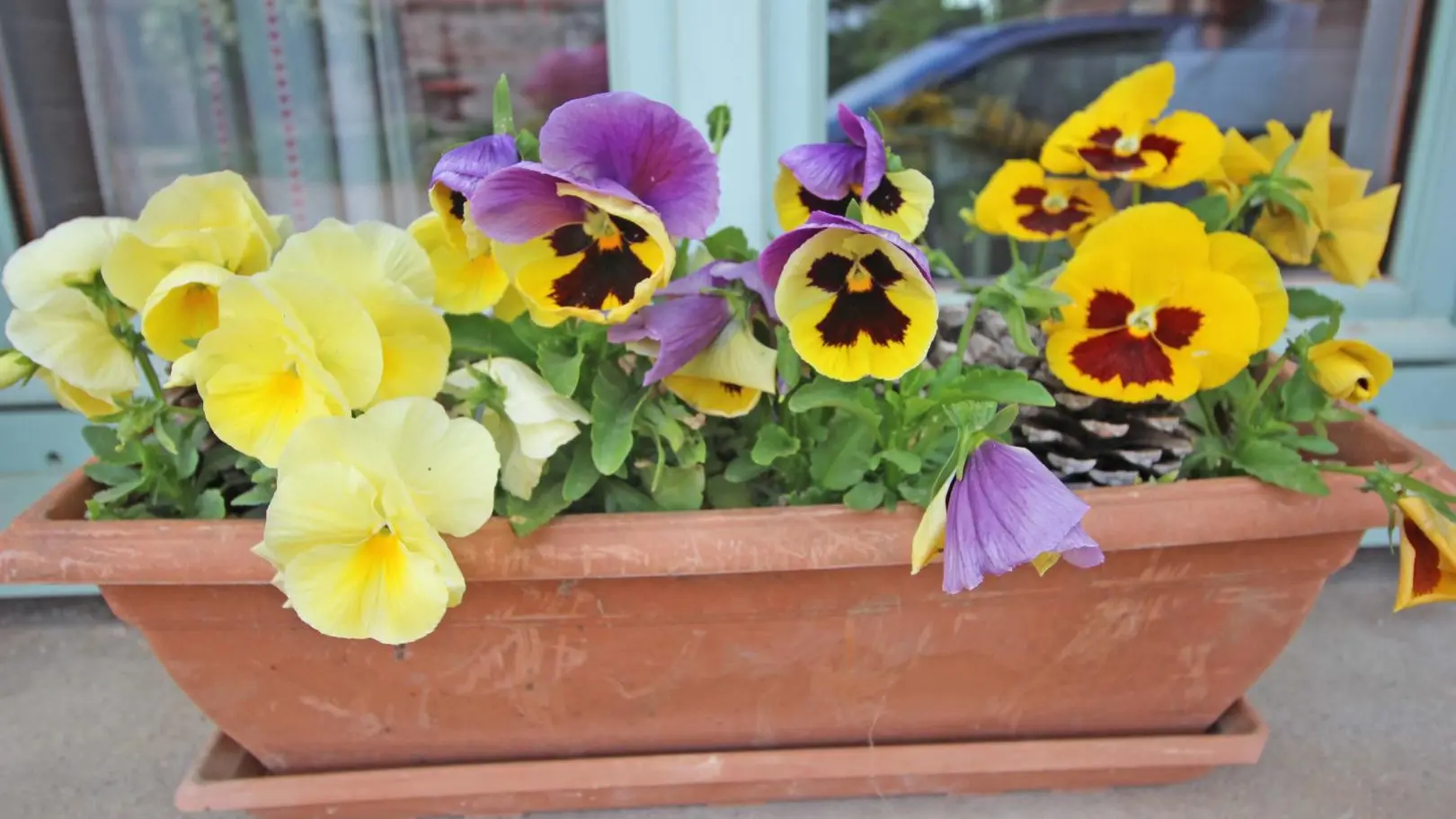 Gite La Thibarderie à Magnac Laval en Haute-Vienne (Limousin en Nouvelle Aquitaine)_32