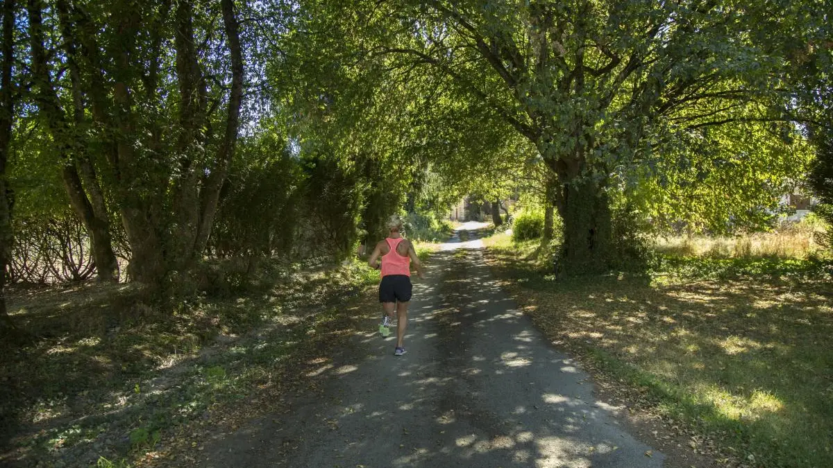 Gite La Thibarderie à Magnac Laval en Haute-Vienne (Limousin en Nouvelle Aquitaine)- La Thibarderie_29
