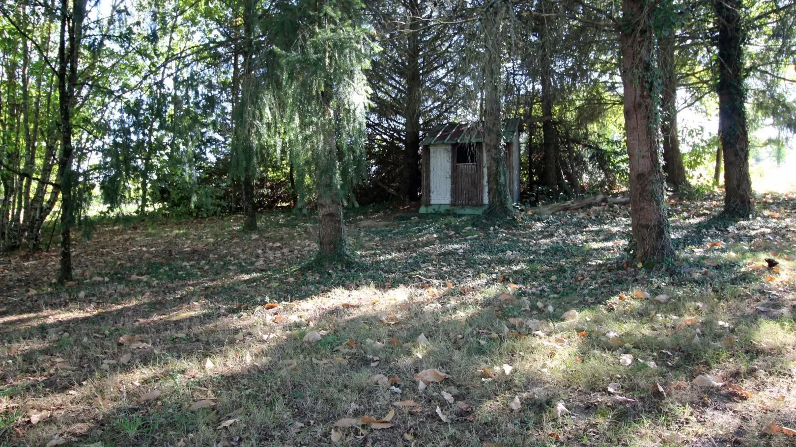 Gite de Montbrugnaud  à Mailhac sur Benaize en Haute-Vienne - terrain ombragé et petite cabane_31