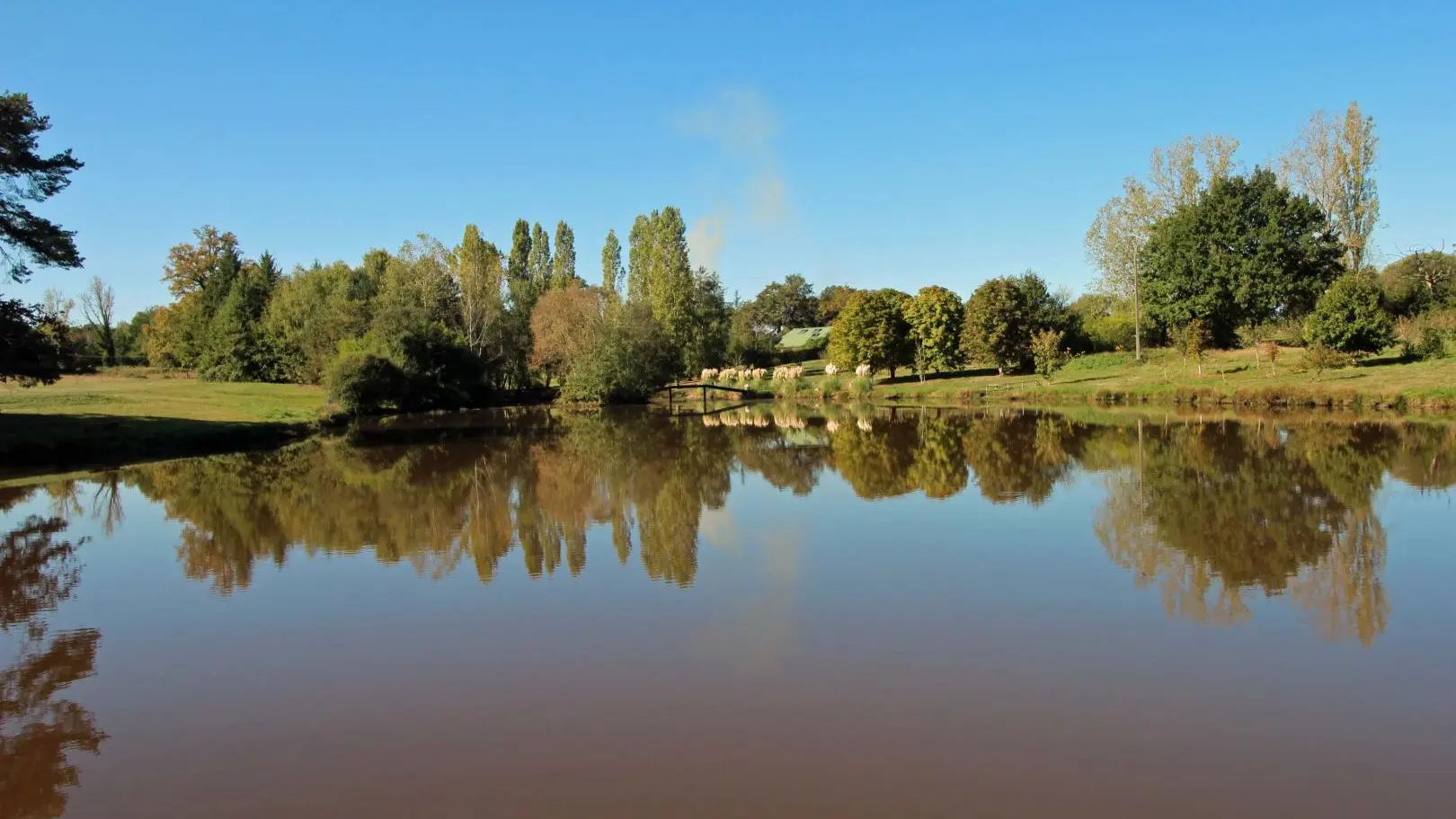 Gite de Montbrugnaud  à Mailhac sur Benaize en Haute-Vienne - l'étang au bas du terrain_2