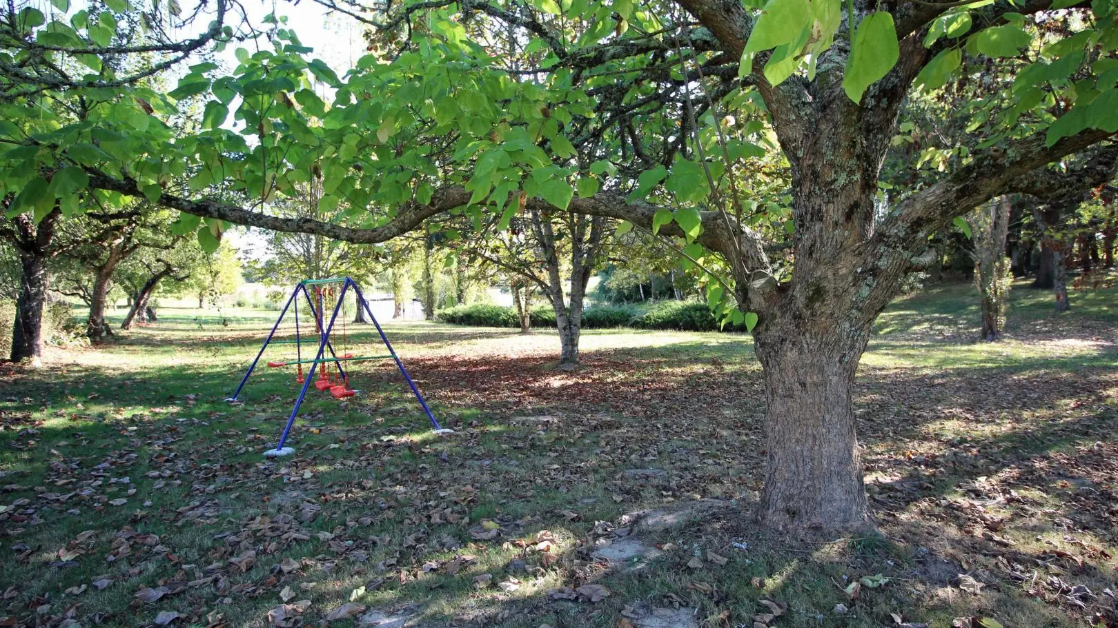 Gite de Montbrugnaud  à Mailhac sur Benaize en Haute-Vienne - le sous bois avec balancoire_32
