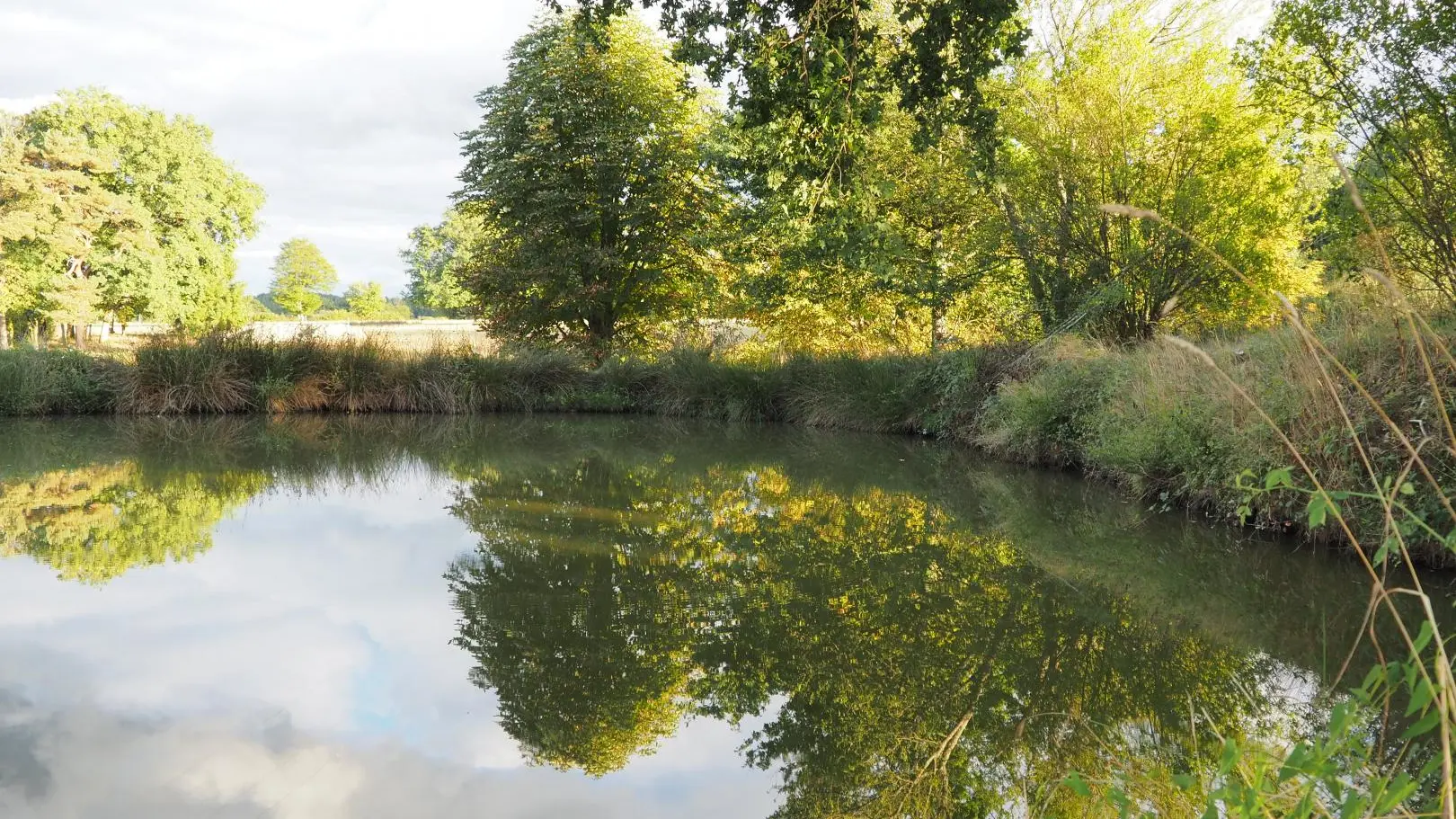 Petite mare attenante à l'étang_38