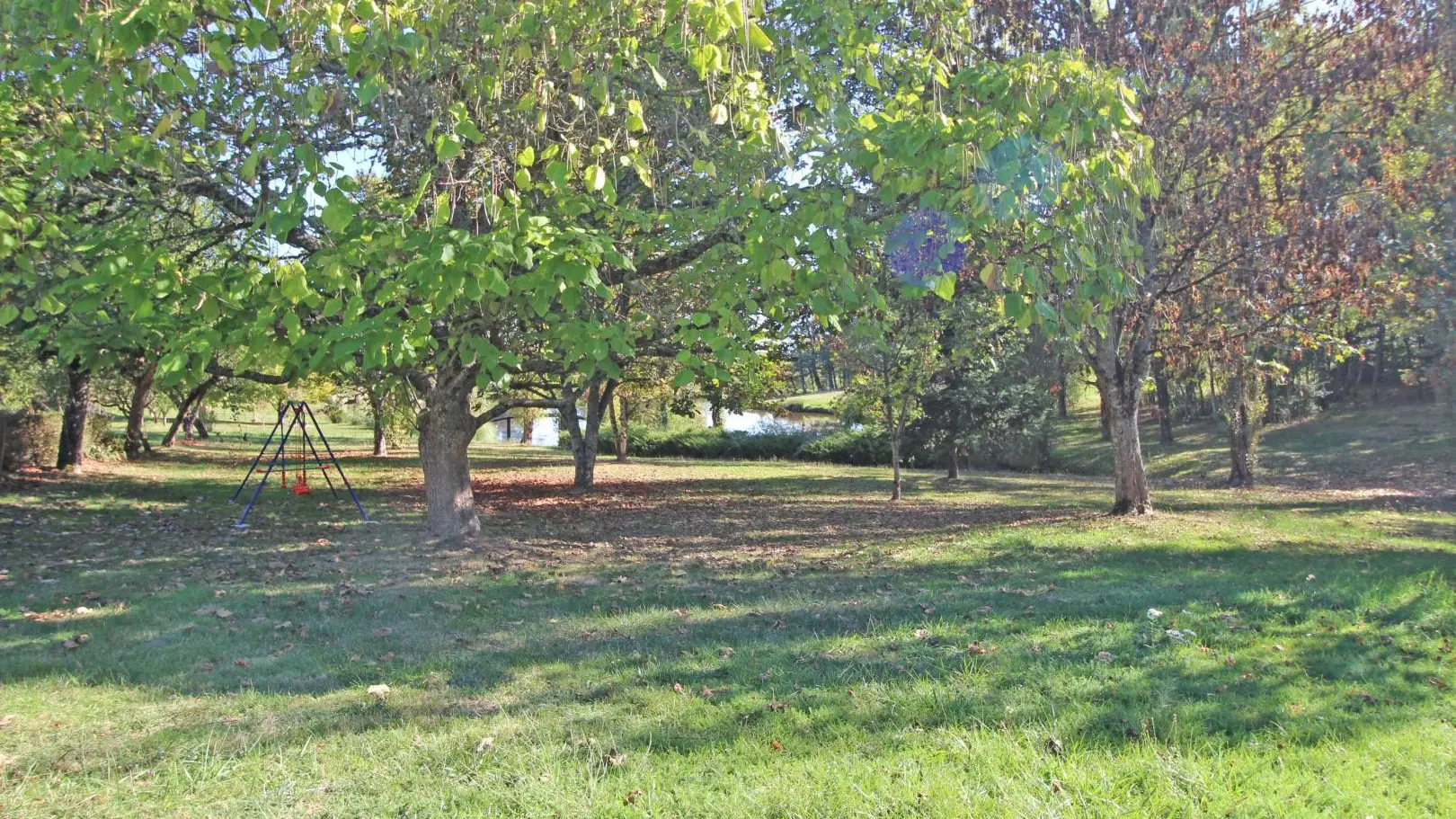 Gite de Montbrugnaud  à Mailhac sur Benaize en Haute-Vienne - le sous bois en allant vers l'étang_35