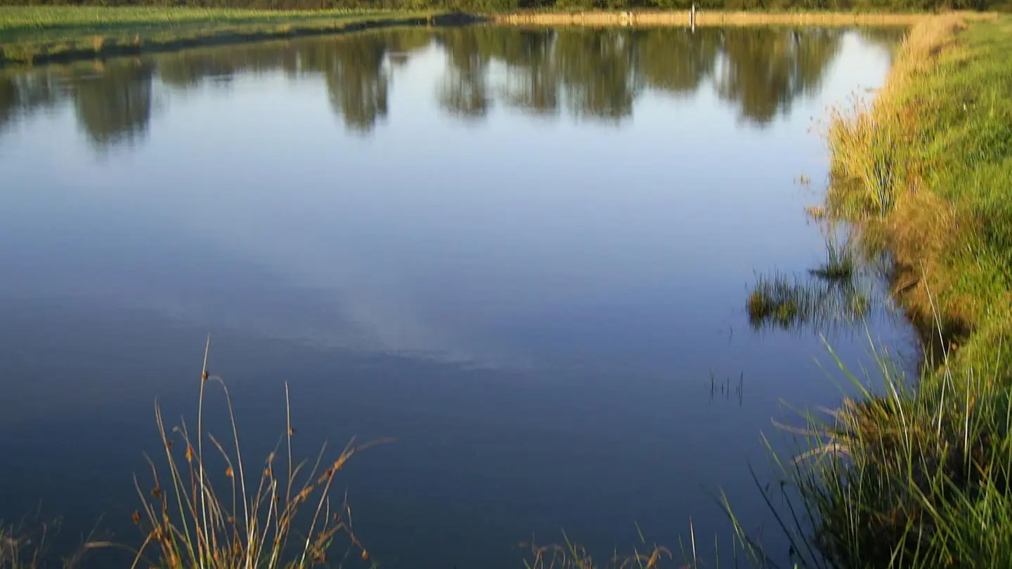 étang à 500 mètres du gite_25