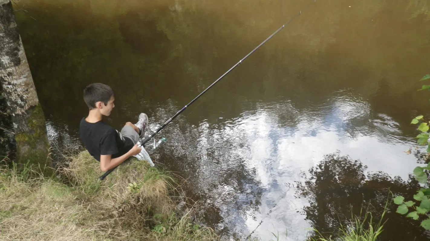 Gite le Haut Tour à Saint Sornin La Marche en Haute-Vienne (Limousin en Nouvelle Aquitaine)_22