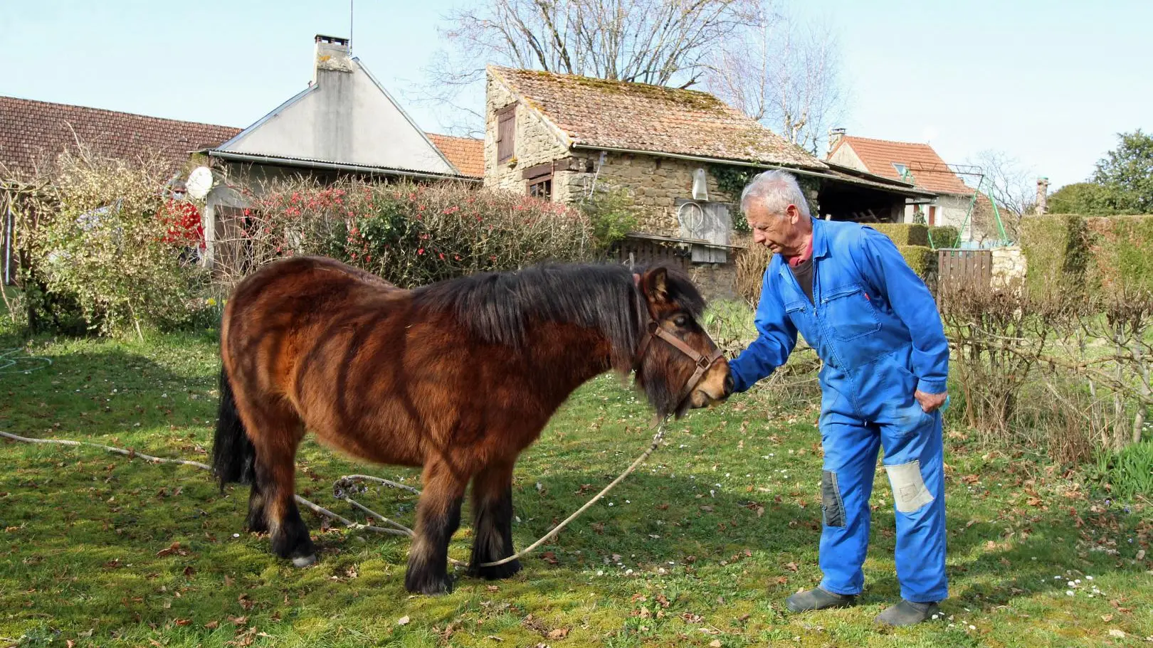 Gite Les Rebras à Saint Sulpice Les Feuilles en Haute-Vienne (Limousin en Nouvelle Aquitaine)_10