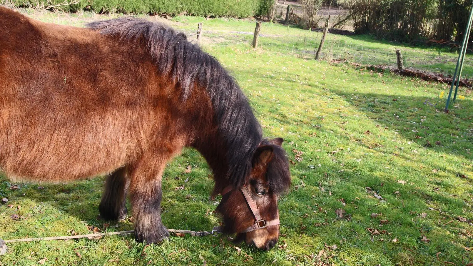 Gite Les Rebras à Saint Sulpice Les Feuilles en Haute-Vienne (Limousin en Nouvelle Aquitaine)_12