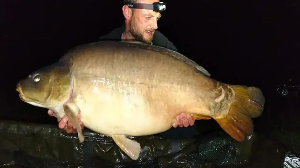 Pêche de nuit à la carpe_16