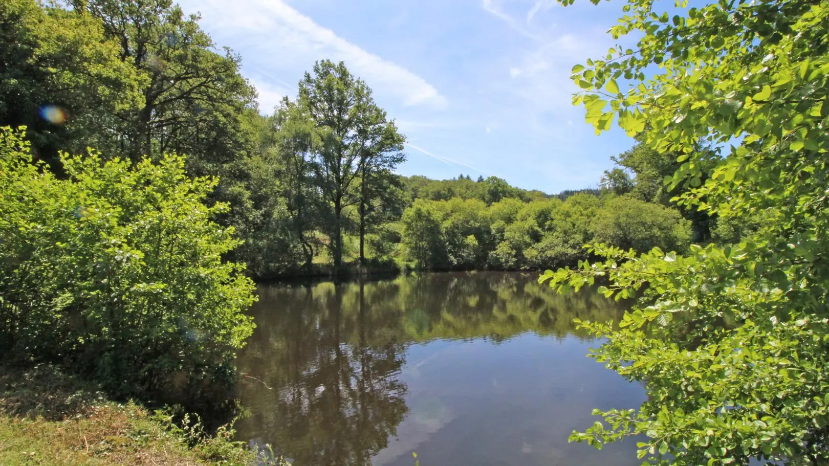 Gite Beaufort à Blond en Haute-Vienne (Nouvelle Aquitaine)_5