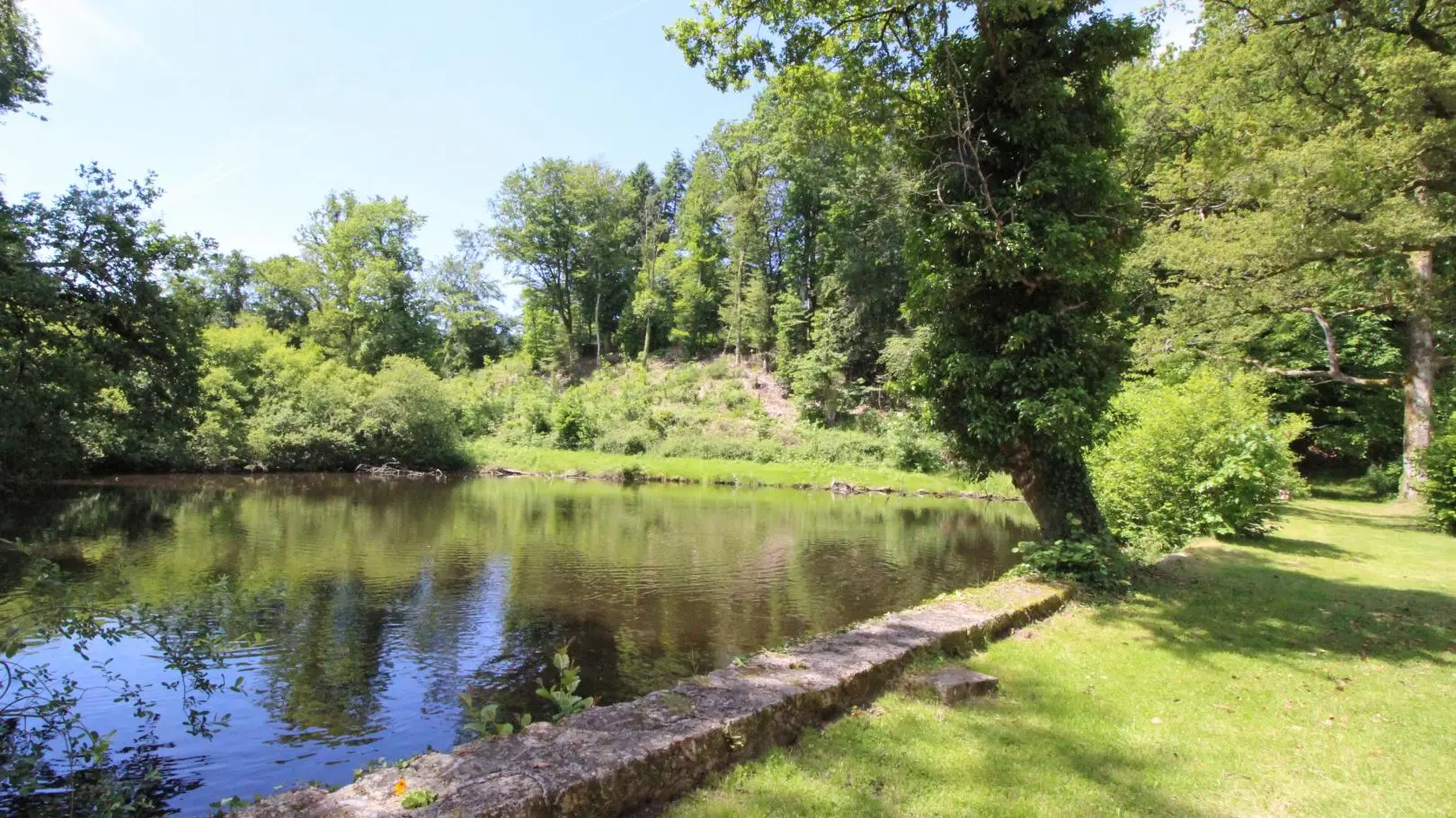 Gite Beaufort à Blond en Haute-Vienne (Nouvelle Aquitaine)_3