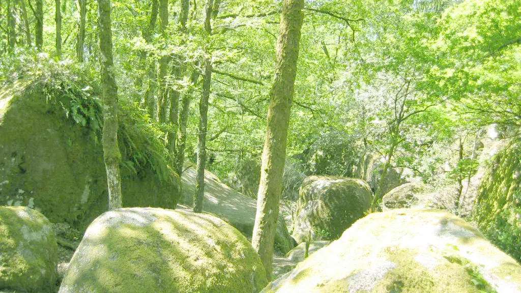 Gite Les Betoulles à Javerdat en Haute-Vienne (Nouvelle Aquitaine)_18