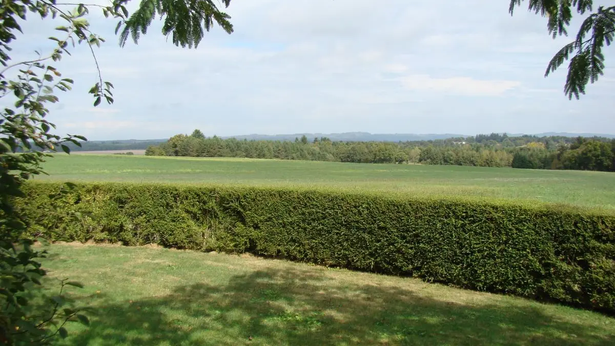 Gite Dieulidou à Oradour-Sur-Glane en Haute-Vienne (Nouvelle-Aquitaine)_16