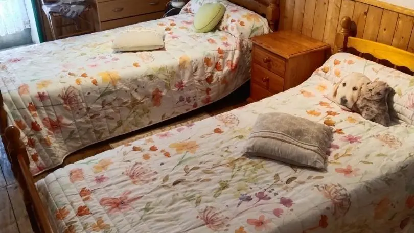 Gite Puy Bouraud à Vaulry en Haute-Vienne (Limousin en Nouvelle Aquitaine)_17