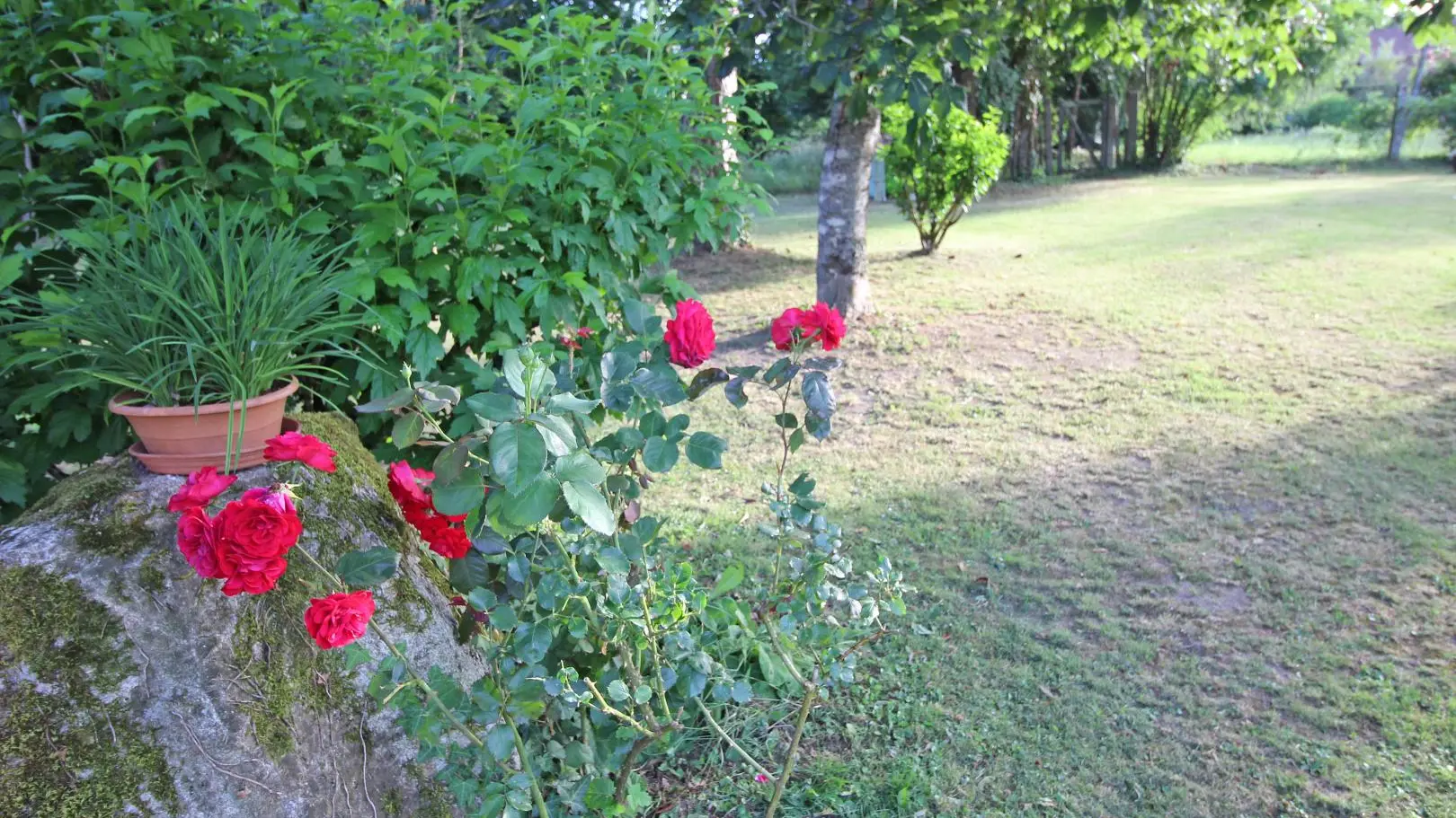 Gite Puy Bouraud à Vaulry en Haute-Vienne (Limousin en Nouvelle Aquitaine)_20